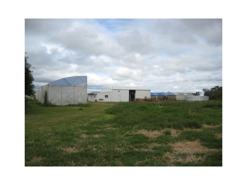 Calavos QLD 4670