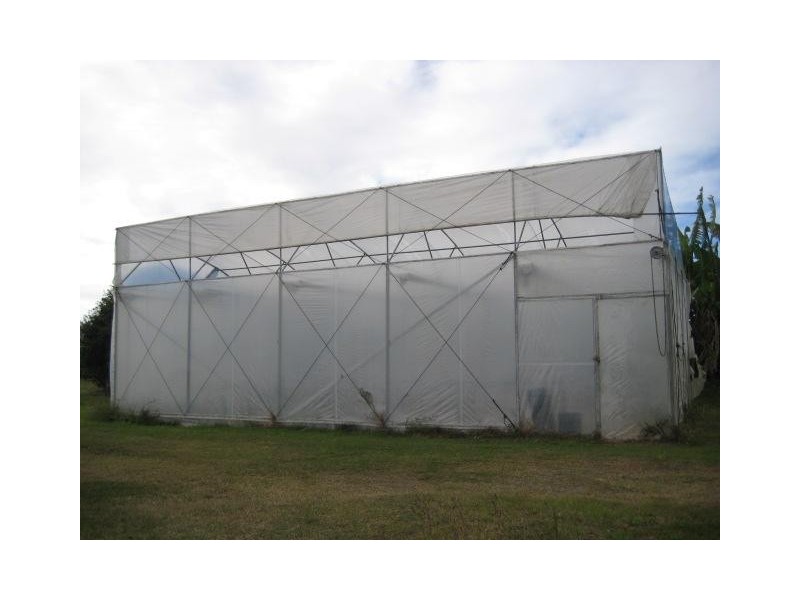 Calavos QLD 4670