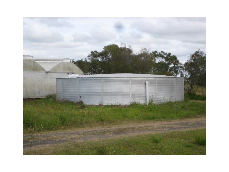 Calavos QLD 4670