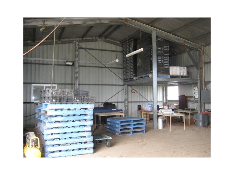 Calavos QLD 4670