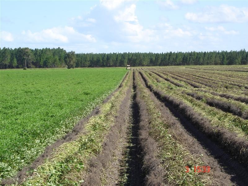 South Bingera QLD 4670