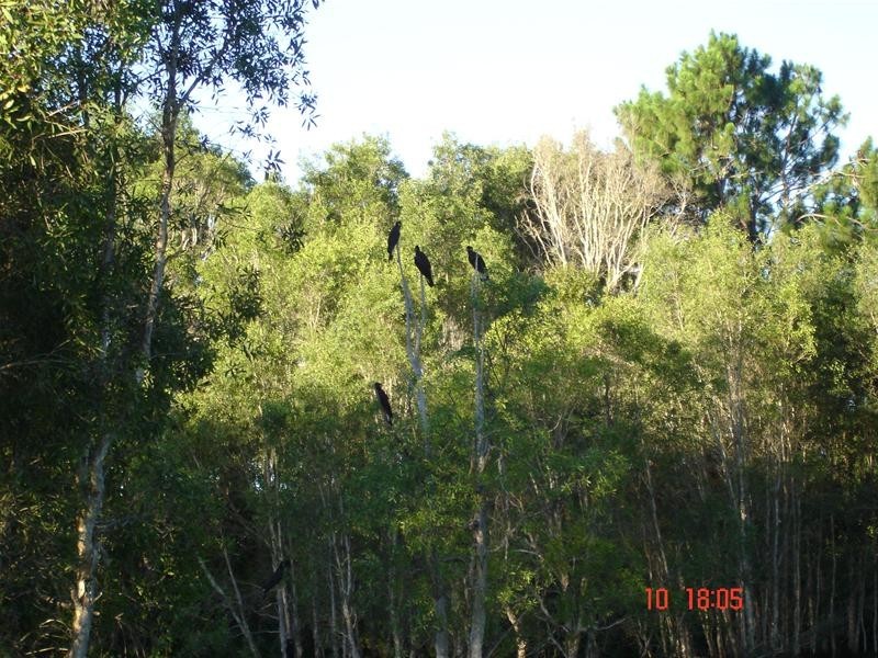 South Bingera QLD 4670