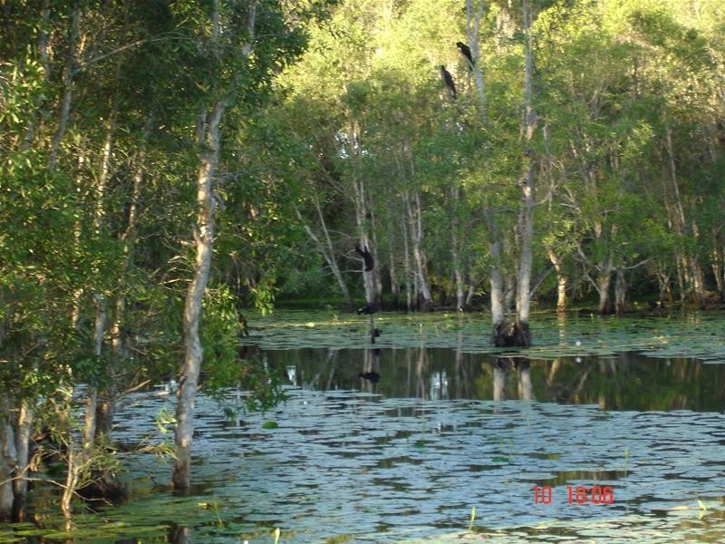 South Bingera QLD 4670