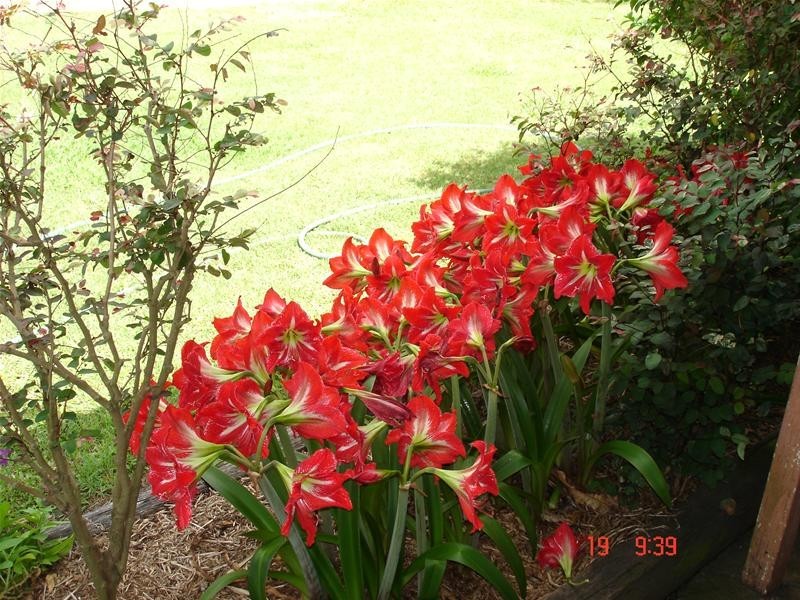 South Bingera QLD 4670