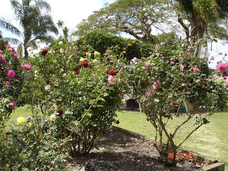 South Bingera QLD 4670