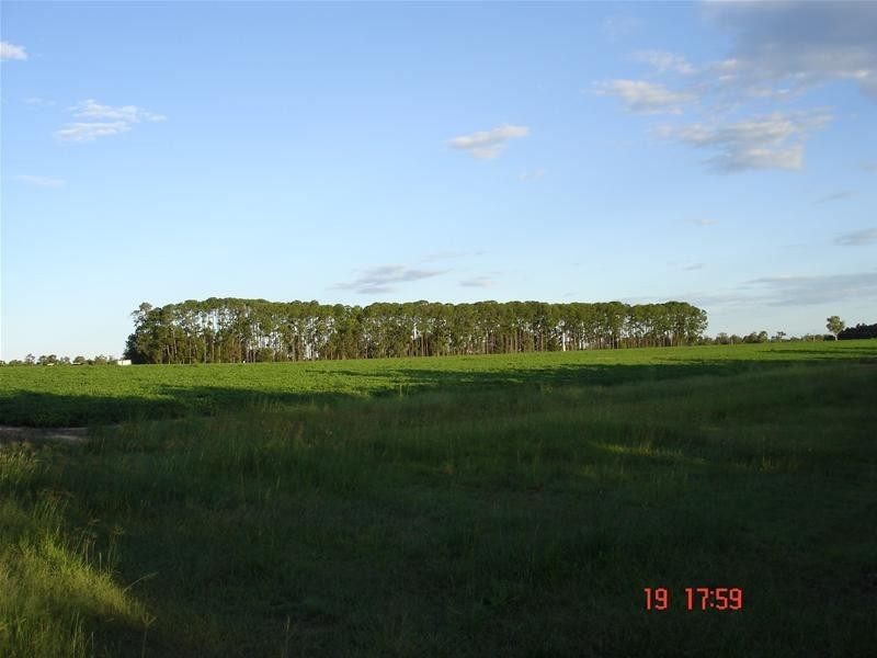 South Bingera QLD 4670