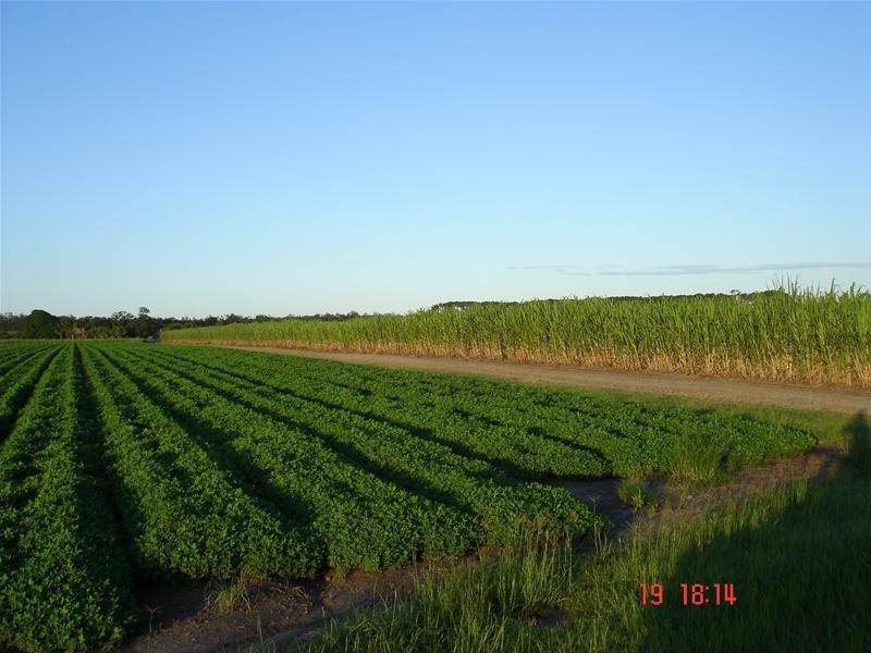 South Bingera QLD 4670