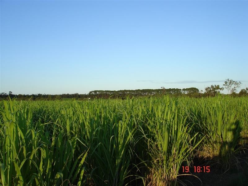 South Bingera QLD 4670