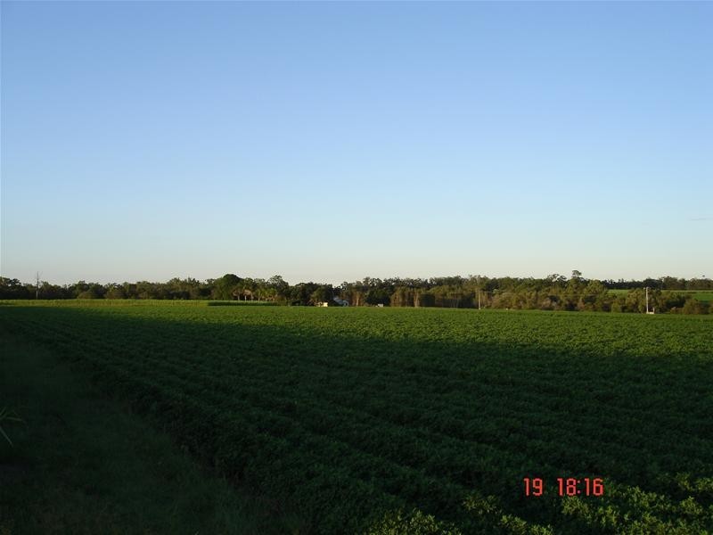 South Bingera QLD 4670