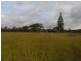 Bucca QLD 4670