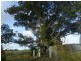 Bucca QLD 4670