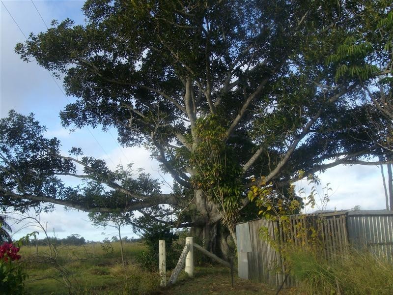 Bucca QLD 4670
