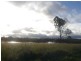 Bucca QLD 4670