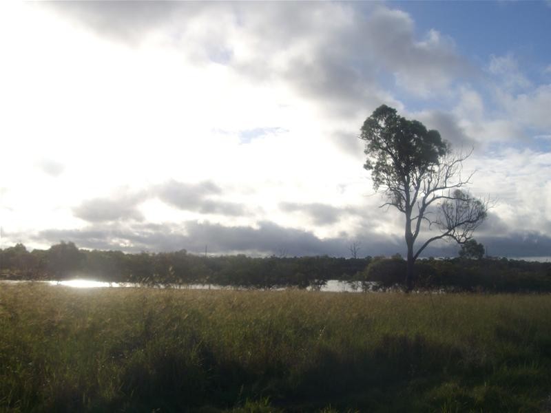 Bucca QLD 4670