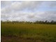 Bucca QLD 4670