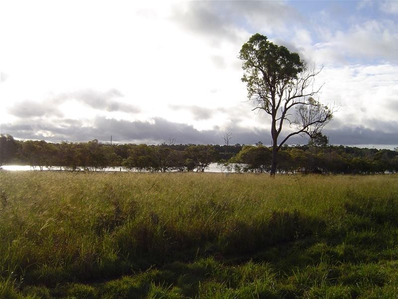 Bucca QLD 4670