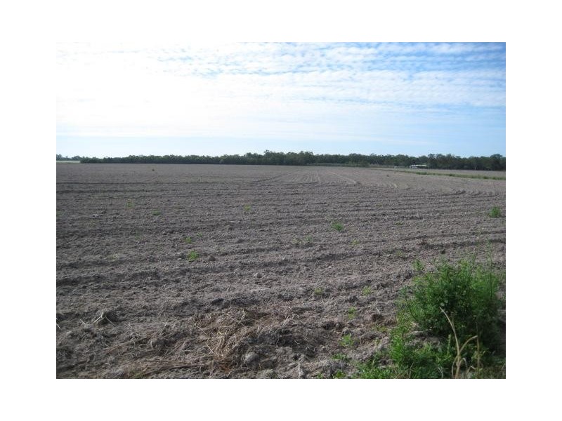 Moore Park Beach QLD 4670