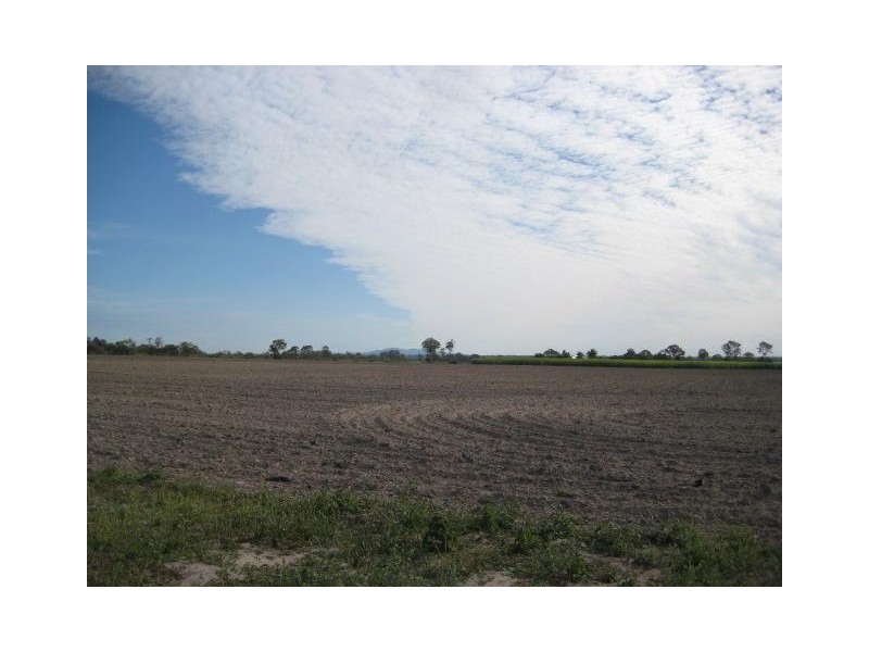 Moore Park Beach QLD 4670