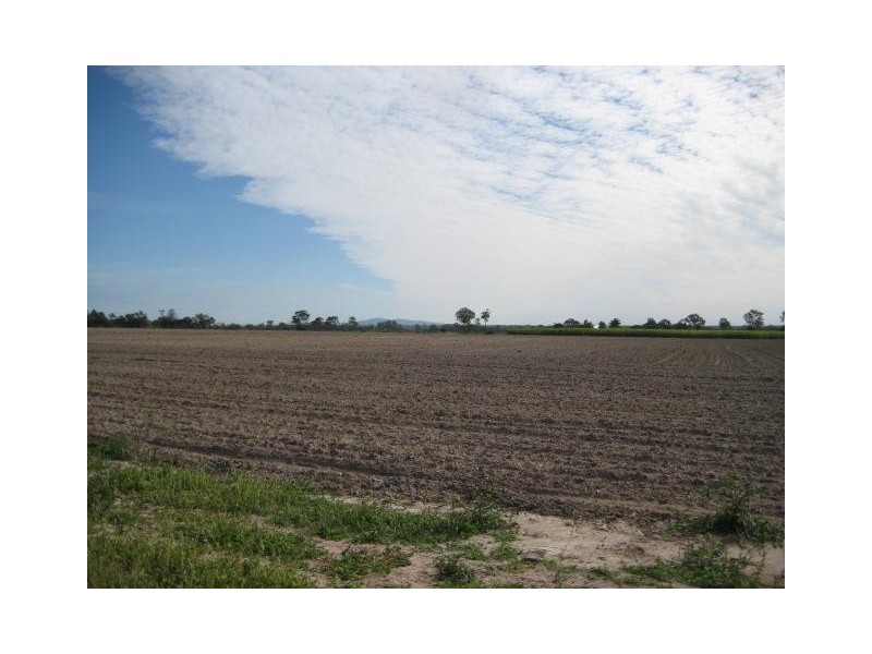 Moore Park Beach QLD 4670