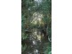 Euleilah QLD 4674