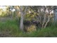 Euleilah QLD 4674