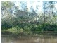 Littabella QLD 4673