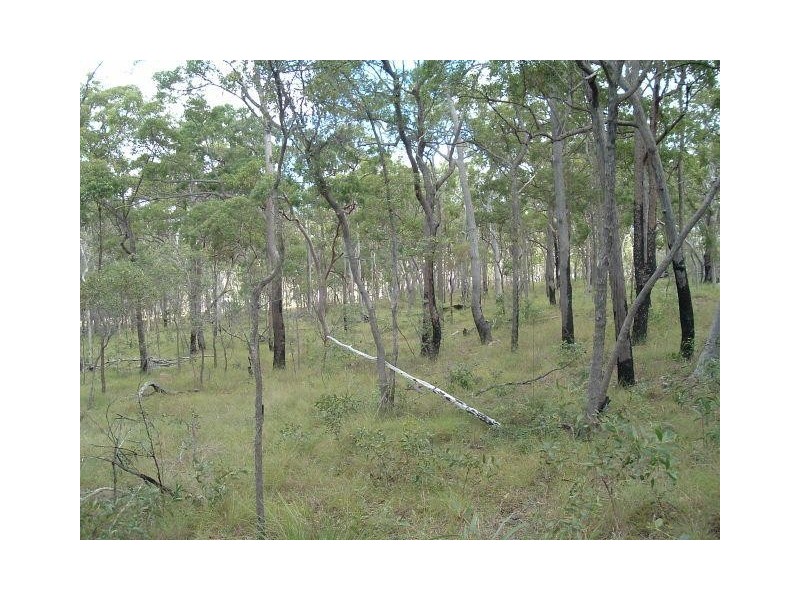 Littabella QLD 4673