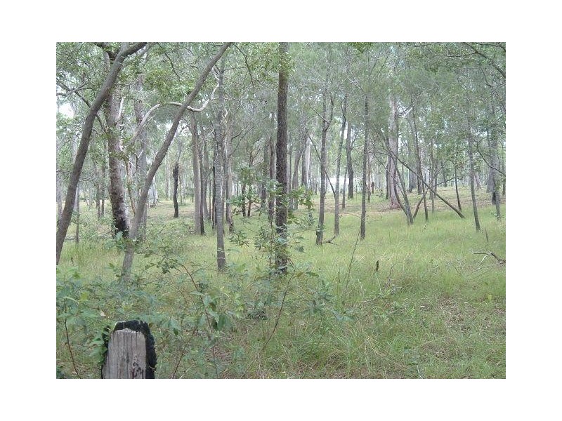 Littabella QLD 4673