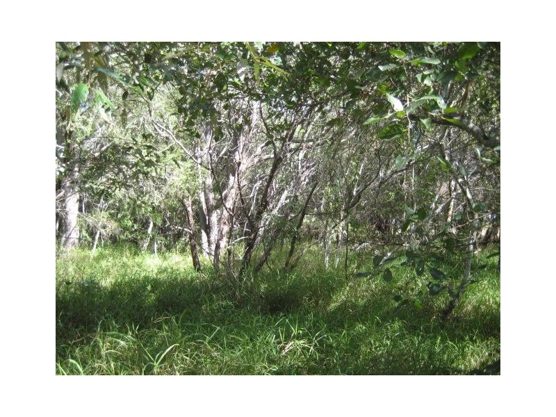 Elliott Heads QLD 4670