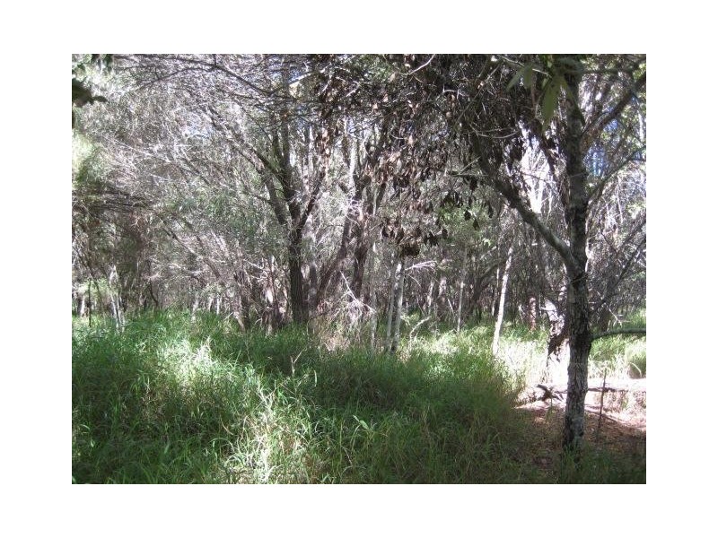 Elliott Heads QLD 4670