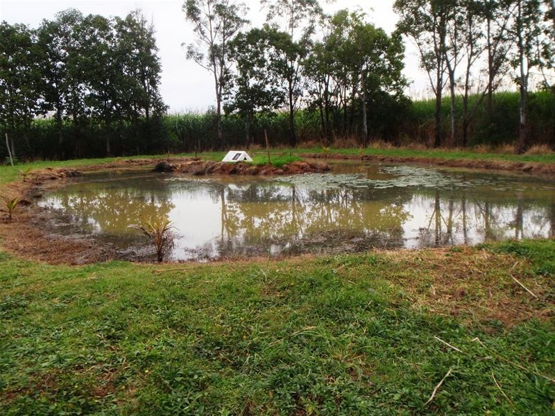 South Kolan QLD 4670