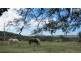 Taunton QLD 4674