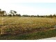 South Kolan QLD 4670