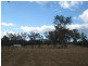 Goodwood QLD 4660