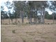 Goodwood QLD 4660