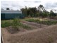 Branyan QLD 4670