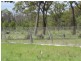 Coonarr QLD 4670