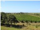 36 Scotneys Road, Moorland QLD 4670
