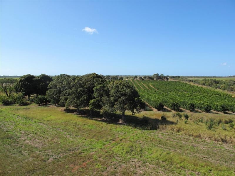 36 Scotneys Road, Moorland QLD 4670