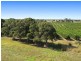 36 Scotneys Road, Moorland QLD 4670