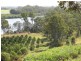 36 Scotneys Road, Moorland QLD 4670
