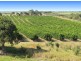 36 Scotneys Road, Moorland QLD 4670
