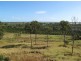 36 Scotneys Road, Moorland QLD 4670