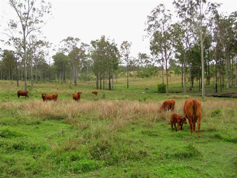 157 Frewens Road, Rosedale QLD 4674