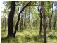 Deepwater QLD 4674