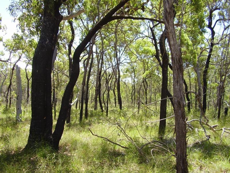 Deepwater QLD 4674