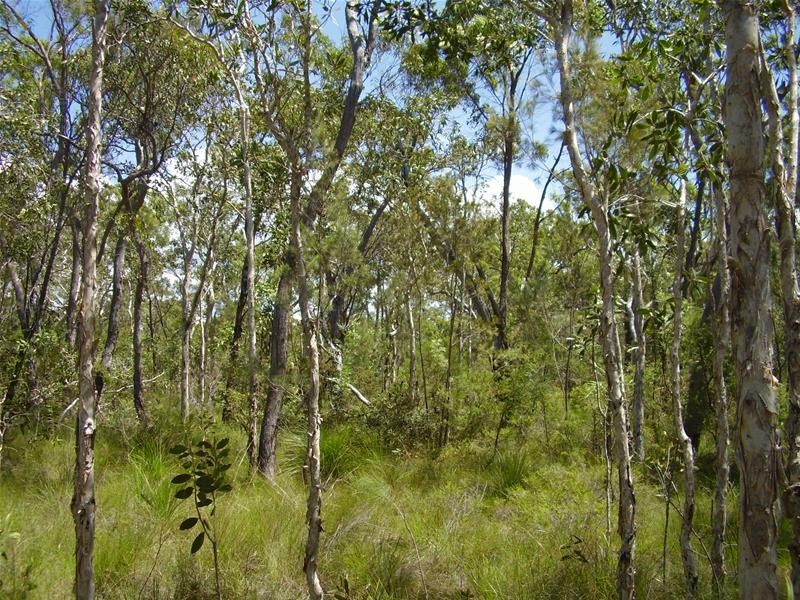 Deepwater QLD 4674