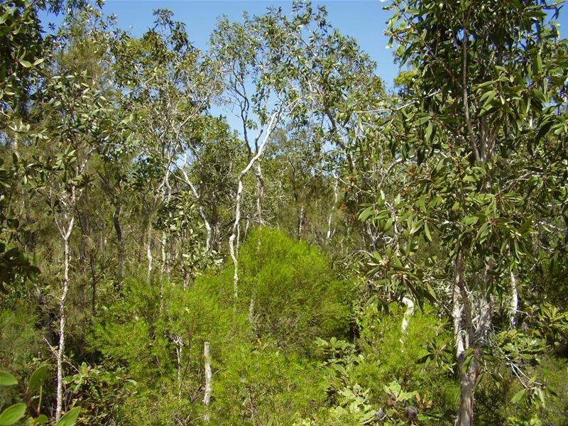 Deepwater QLD 4674