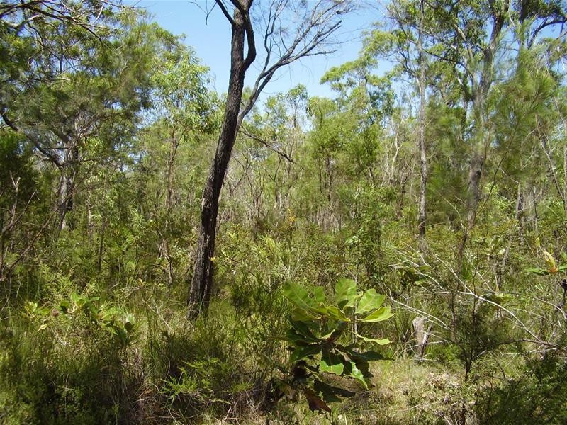 Deepwater QLD 4674