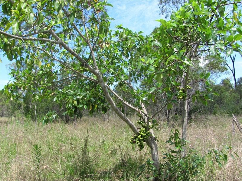 Mount Maria QLD 4674